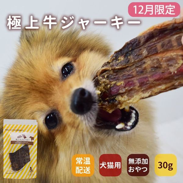 12۸ǭѥ㡼  ˾㡼5ޥå+1ޥץ쥼   ¿̵źä