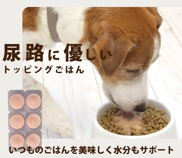 【タイムセール5%OFF】愛犬用 療法食サポート 尿路ケア なめらかごはん 【冷凍便】【ハウンドカム食堂】【2025ts_g05】|ハウンドカム食堂の手作りごはん・スイーツ・おやつ