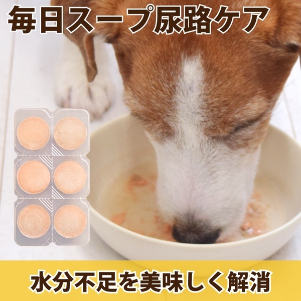 【タイムセール5%OFF】愛犬愛猫用 毎日スープ 尿路ケア　1袋(6個入)【冷凍配送】ハウンドカム食堂【2025ts_g20】|冷凍商品