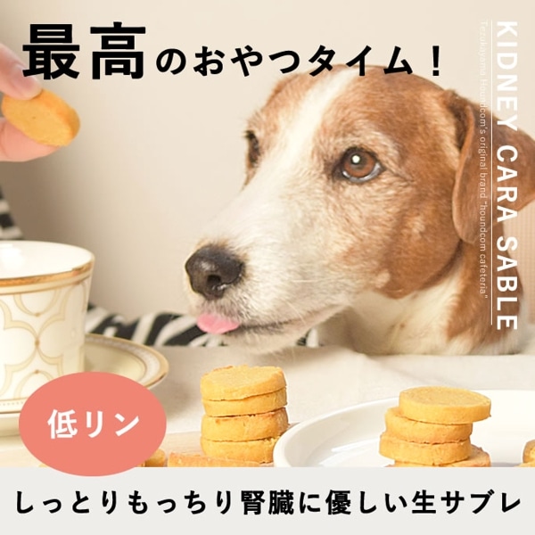 ڥॻ5OFF۸̵źä ץƥ֥ ¡ 70gڥϥɥ࿩Ʋۡۡ2025ts_g23