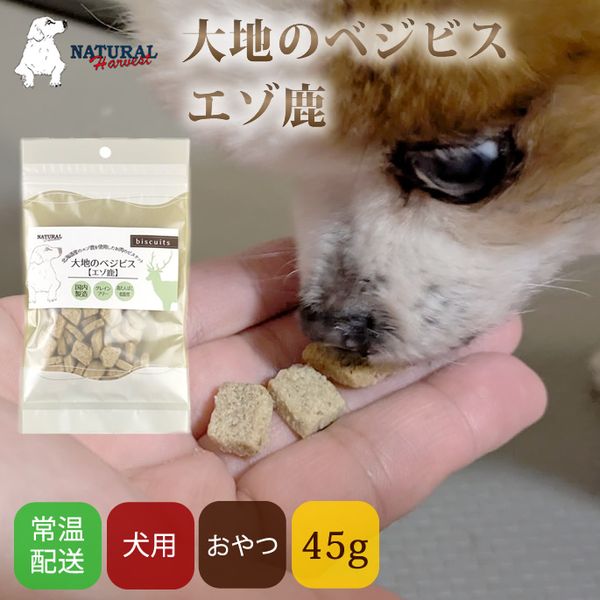 ナチュラルハーベスト | 犬 おやつ | 大地のベジビス | エゾ鹿　グレインフリー ビスケット|クッキー・せんべい類|犬用無添加おやつ