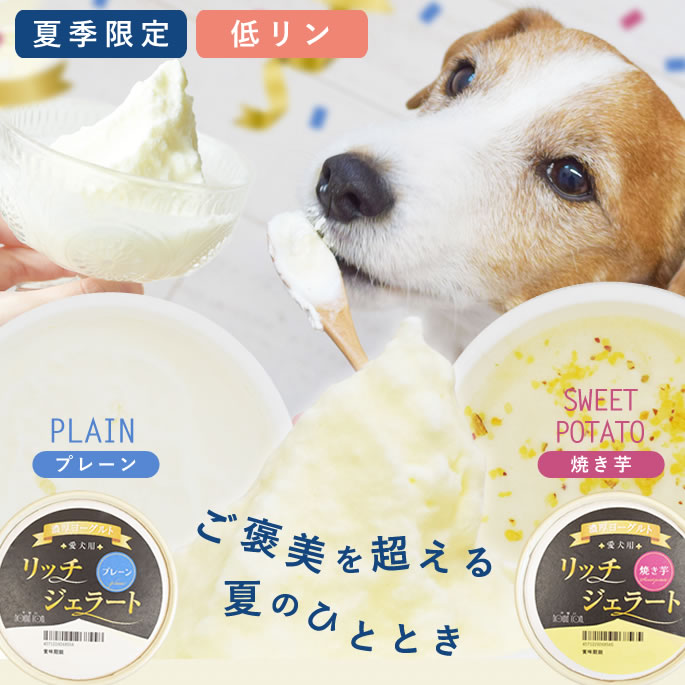 ガラ入れ(プレーン) 10個セット 楽天市場】ステンレスガラ入れプレーン／sの通販