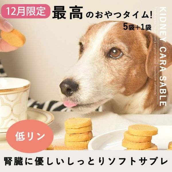 12۸̵źä ץƥ֥ ¡ 5+1ޥåȡڥϥɥ࿩Ʋۡ