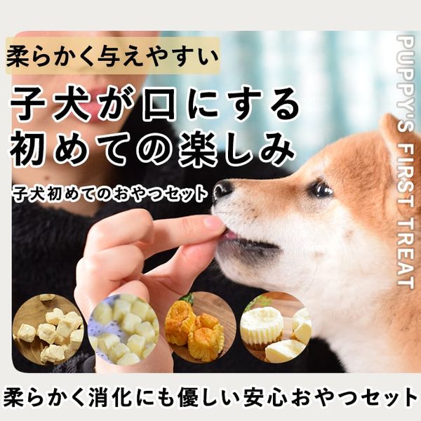 犬用おやつ｜子犬初めてのおやつセット