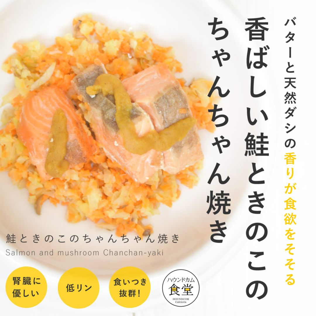 愛犬愛猫用 手作りごはん 鮭ときのこのちゃんちゃん焼き6個/12個/24個