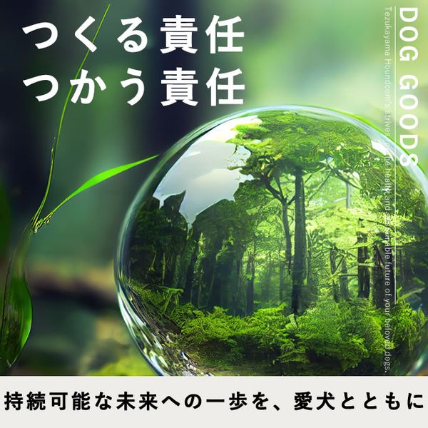 SDGs 訳アリアイテム ※インターネット注文限定商品|お出かけ・お散歩グッズ