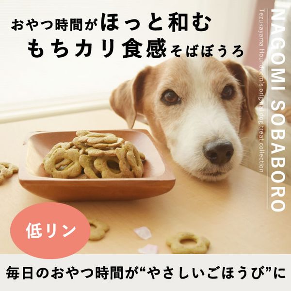 トイプードルの食事の通販・販売なら帝塚山ハウンドカム