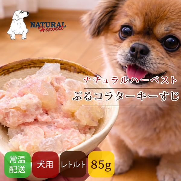 ドッグフード通販の帝塚山ハウンドカム 缶詰・レトルトフード