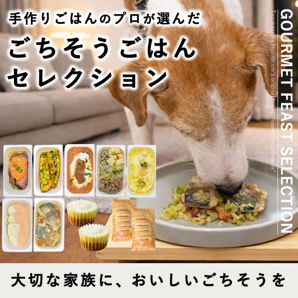 �����Ѽ��ꤴ�� �����������Ϥ󥻥쥯�����ڥϥ���ɥ��࿩Ʋ�ۡ������ء�