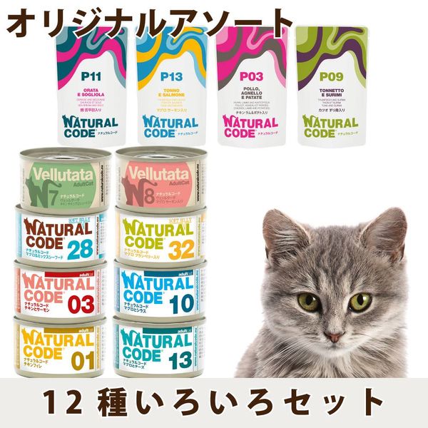 ǭ���ʥ����륳���ɡ�12�浪��������ȥ��åȡ�85g��8�70g��4���ǭ�ѡ����̿��������ꥢ�֥��ɡ��̵͡��ѥ�����ȯ�䵭ǰ �������ʬ����20�󥪥աʤʤ��ʤ꼡�轪λ�ˡ�