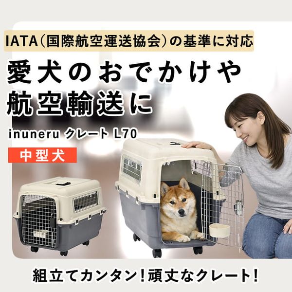 �ڥåȥ���꡼��inuneru (���̥ͥ�) ���졼�ȣ�70���淿��