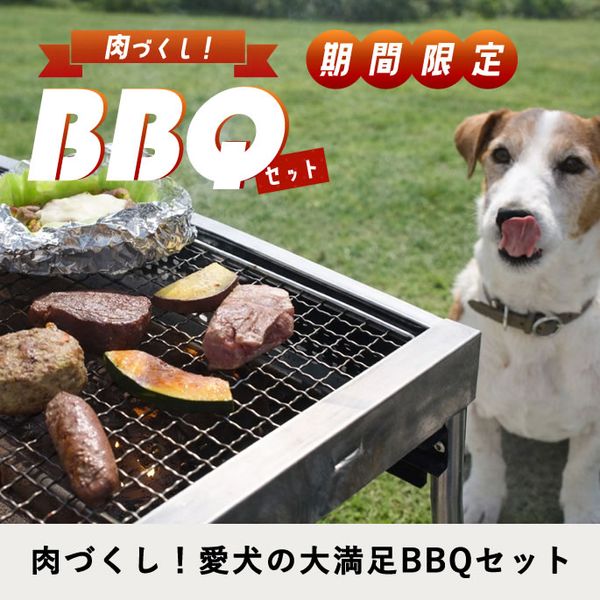 �ڴ��ָ�������Ť���BBQ���å� �ڥϥ���ɥ��࿩Ʋ�ۡ������ء�