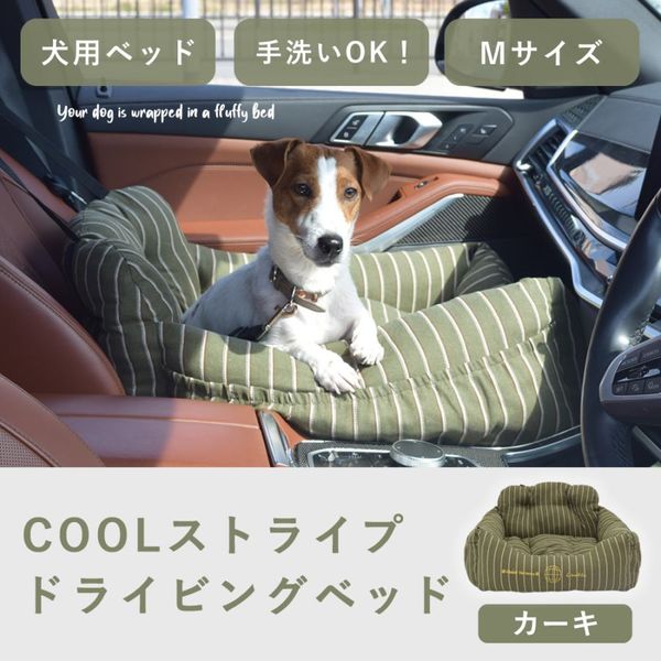 �� ���ѥ٥å� COOL���ȥ饤�ץɥ饤�ӥ󥰥٥å� M������ ������ �ڥ��Υե�����