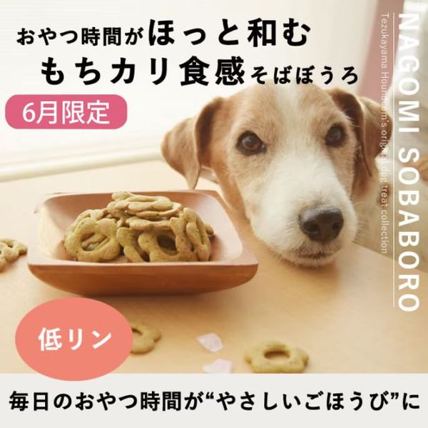 トイプードルの食事の通販・販売なら帝塚山ハウンドカム