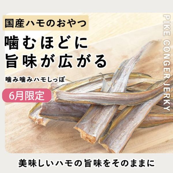 Ｍai ☆彡様複数購入割引 スピーディク バリカン タピオ 8mm替刃 プロトリマーオススメ！スピーディクSP-3タピオバリカン 替刃8mm