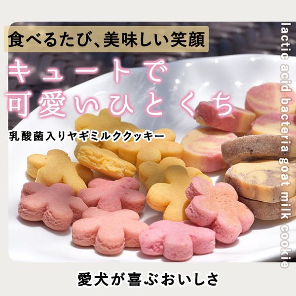 ���ѥ��å���������������䥮�ߥ륯���å��� 60g