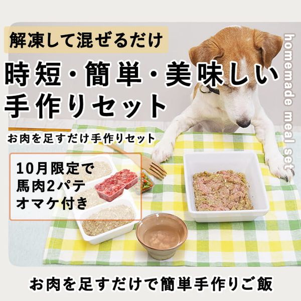 �����ѡ�������­���������ꥻ�åȡ�����Ǥ��Ϥ���