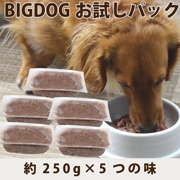 ���ѥӥå��ɥå�������ѥå���(��250g��5���� ��1��ˡ����������ۡ����� �����ա��� ��5�Ĥ�̣�ʥ��󥬥롼����ࡢ�ӡ��ա��ݡ���������ܥ����������ˤ���ѥå�