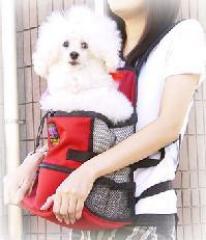 犬用キャリーバッグ｜フロントペットキャリア　Sサイズ　レッド　　前抱っこタイプ|キャリーバッグ（ソフトタイプ）|ペットキャリー・ペットカート