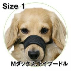 �ڸ��Τ��Ĥ��ˡۥ�å���ޥ��롡������No.1�� �ȥ졼�˥󥰤佦�������ɻߤ�