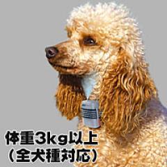 【犬のしつけに】ジェットケア　ミニ 体重3kg以上に最適|ムダ吠え対策|トレーニング用品
