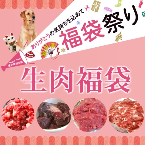 �������̴���������ӡ���������ʡ�ޡ�������������ʡ�ޡ�