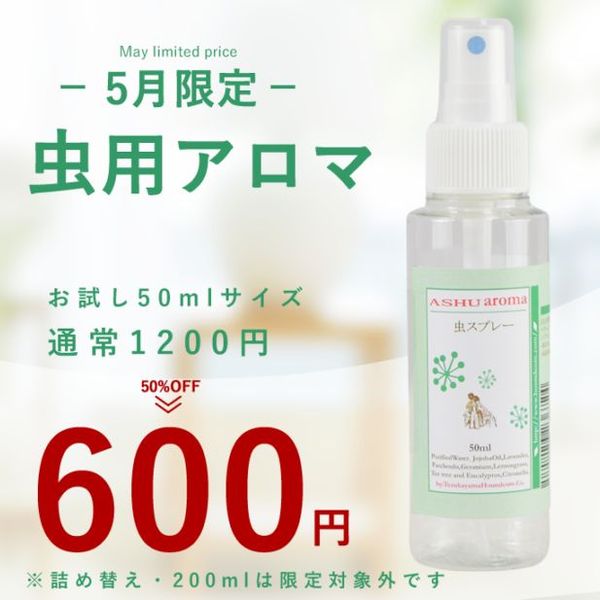 ��5��������褱���ץ졼��600�ߡ�������ץ졼�å�������ץ졼���ե���ȥ饤�󤬶��ʻҤˡ�a0253��