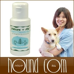 �ͥ����㡼������