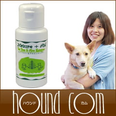 �ͥ����㡼�����ɡ��ƥ����ĥ꡼�������������ס�