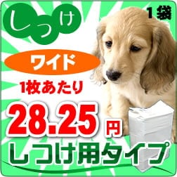 ȥΤĤˢĤѥڥåȥġ磻ɥ27.87(ȴ)