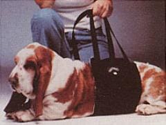 ��2��3����Ǽ��������ޤ����ۥ��������٥꡼�ϡ��ͥ�ƹ��