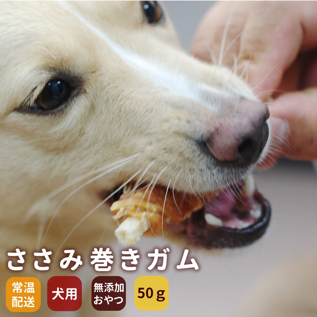 犬用ジャーキー｜ささみ巻きガム 無添加ジャーキー｜ドッグフードの