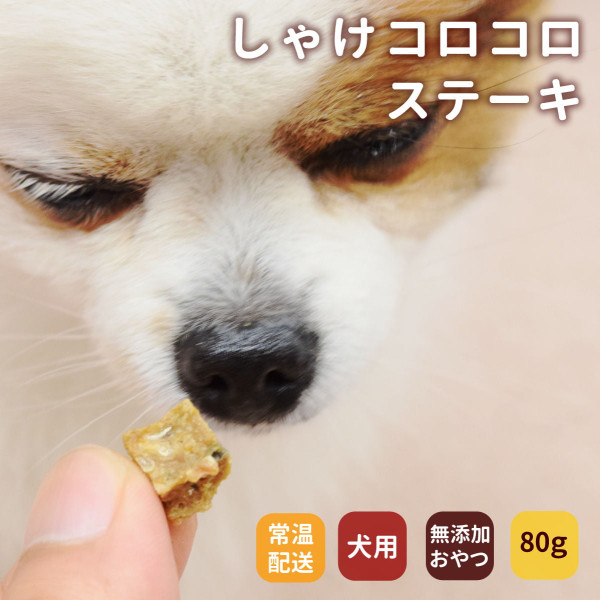 ǭѤġ̵źóͤ줿 㤱ơΤġa0120ۡǤޤۢǭ