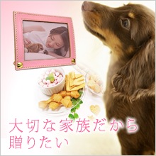 ̵|͡եȥե졼Ȥ̵źÿʥå