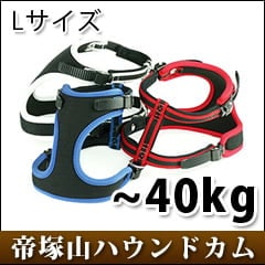 �緿���ѥϡ��ͥ��å��르����ե����ȡ��С��̡��ϡ��ͥ����ڤ����󤻡�