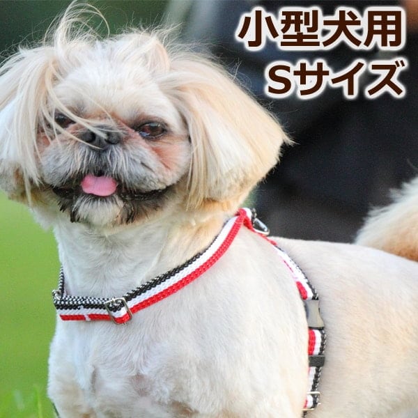 小型犬用ハーネス｜ASHU トリコロール [ハーネス] サイズ：S