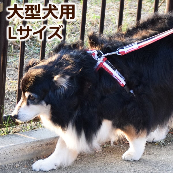 土日限定お値下げ！HARE パールハーネス 新品 通販ファッション