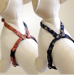 ���������ϡ��ͥ����åȡ�ASHU����ʬ���Ѥ��Ƥ��Ф������å�