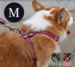 ���ѥϡ��ͥ���ASHU���ȥ�åɡ��ϡ��ͥ���M�����������������淿����