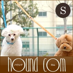 ѥ꡼ɡASHUѥƥɥåȥ꡼ S