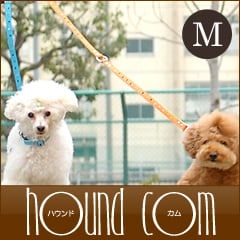 淿ѥ꡼ɡASHUѥƥɥåȥ꡼ M