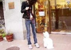 ���֥륦�������ᥤ�ȡ�[S������]���֥�å�