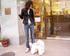 ���֥륦�������ᥤ�ȡ�[M������]���֥�å�