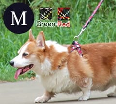 �淿���ѥ꡼�ɡ�ASHU���ȥ�åɡ��꡼�ɡ�M������