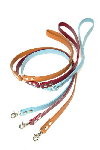 ���ѥ꡼�ɡ�ASHU��A-COLOR���꡼�ɡ����������淿��