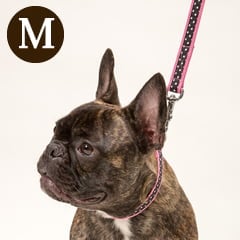 �淿���ѥ꡼�ɡ�ASHU����֥꡼�ɥåȡ��꡼�ɡ���������