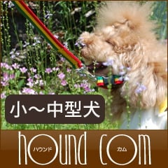 ���ѥ꡼�ɡ�ASHU���饹�������꡼�ɡ����������淿����