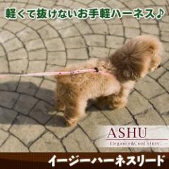 小型犬用｜ASHU　イージーハーネスリード　Ｍサイズ　リード一体型ハーネス|リード|首輪・ハーネス・リード