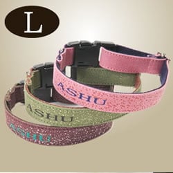 �緿���Ѽ��ء�ASHU�����ǥ˥ࡡ���顼���̥�������EN