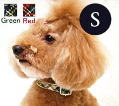 �������Ѽ��ء�ASHU���ȥ�åɡ����顼��S��������GR